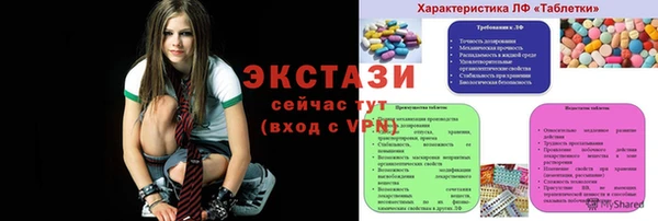 ПСИЛОЦИБИНОВЫЕ ГРИБЫ Гусев