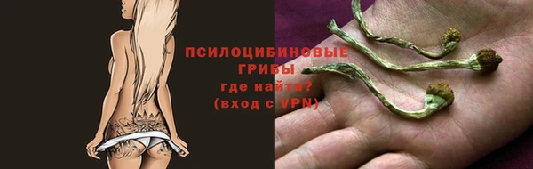 шишки Алексеевка