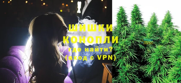 шишки Алексеевка