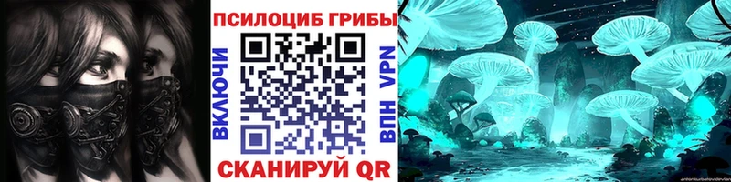 Псилоцибиновые грибы прущие грибы Карабаш